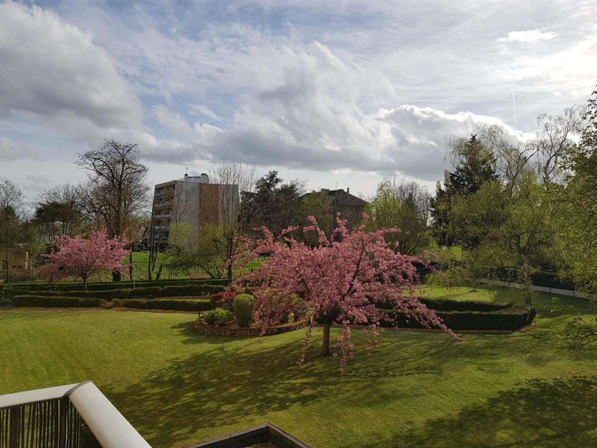 Chez Lisa & Olivier Apartment Athis-Mons Exterior foto